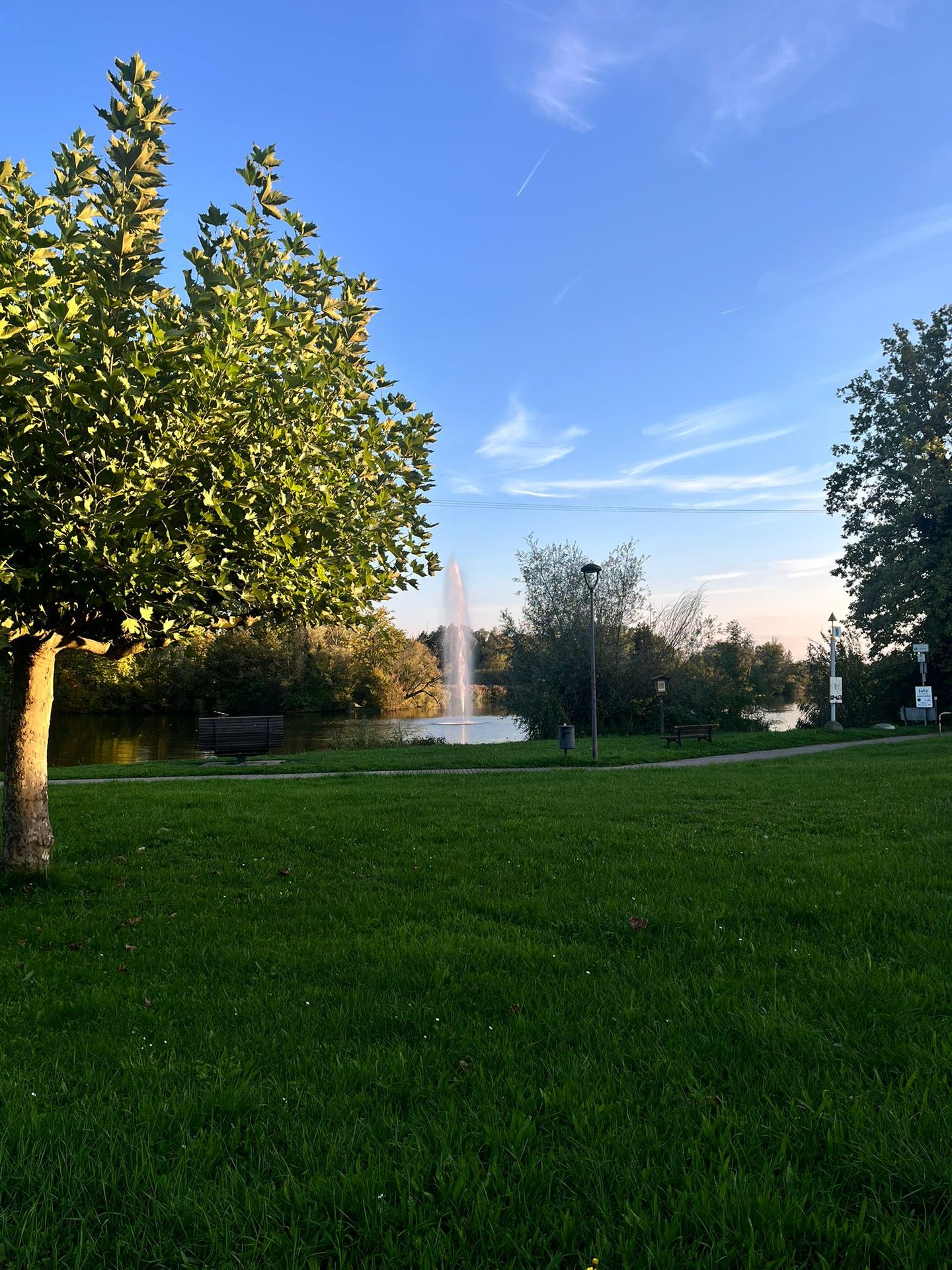 Galeriebild 19